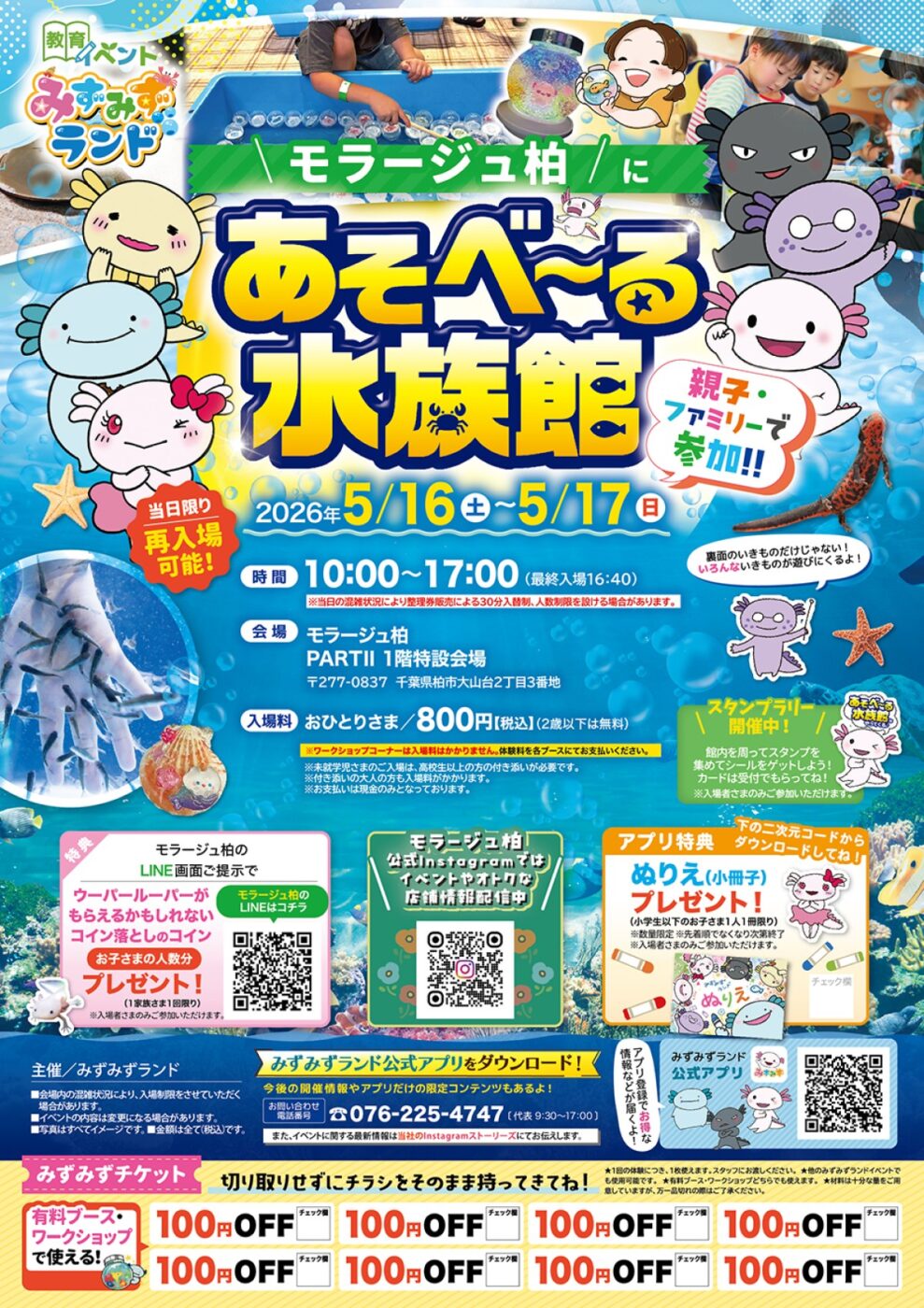 水族館で楽しく遊ぶ！体験型イベントが盛りだくさん